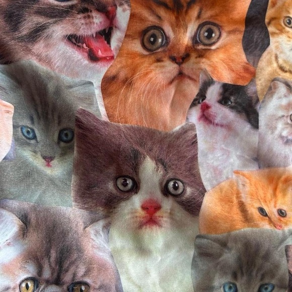 Bioworld Men’s Cat Meme Swim Trunks – Size M | Funny Kitten Board Shorts - Picture 6 of 7